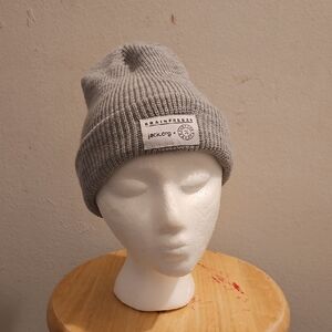Brainfreeze Gray Beanie for Men